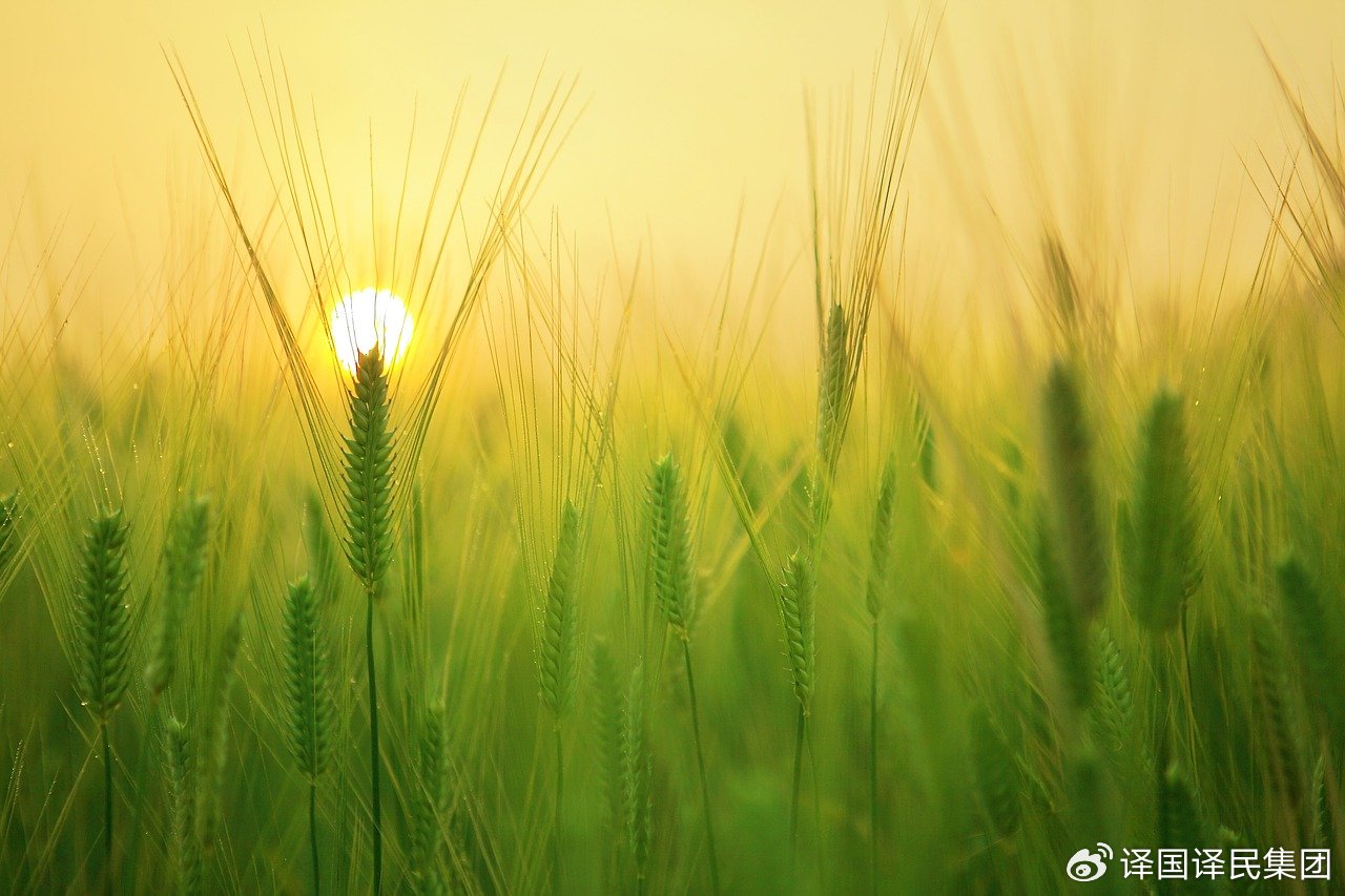 腾博汇游戏官网·(中国)专业效劳,诚信为本